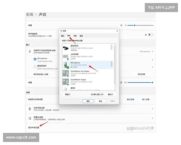 揭秘MorphVox Pro语音变换的实用技巧与优化方法提升语音效果 揭秘MorphVox Pro语音变换的实用技巧与优化方法提升语音效果