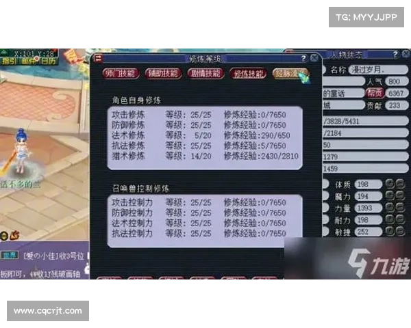 梦幻西游角色实力提升与团队协作优化全攻略