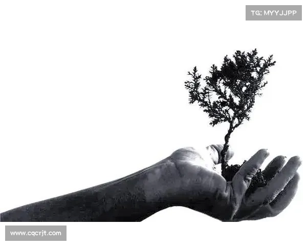 东超一词的深层含义与多重解读全方位解析你需要全面了解的核心内容 东超一词的深层含义与多重解读全方位解析你需要全面了解的核心内容