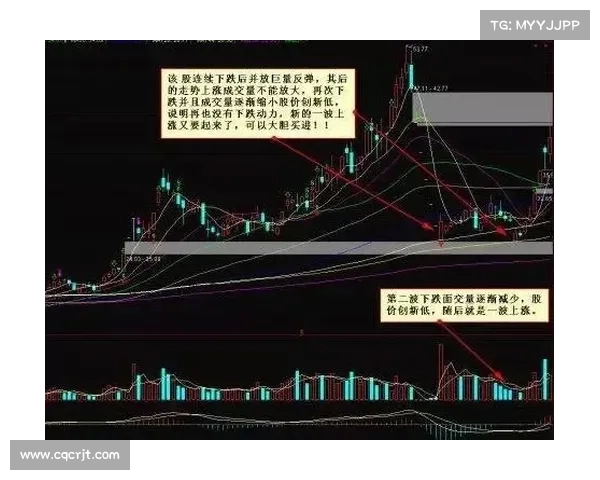 揭示以马内离开的五大关键因素背后的真相与深层原因