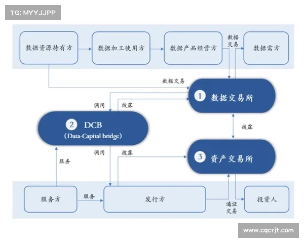 斯坦福桥足球俱乐部组织结构深度解析与管理模式探讨 斯坦福桥足球俱乐部组织结构深度解析与管理模式探讨